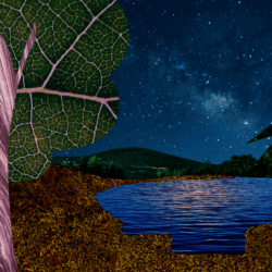 Learn to Use: Adobe Photoshop | 2/19 & 2/20